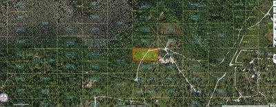 HOLOPAW GROVES Road, St Cloud, FL, 34773 — photo 2