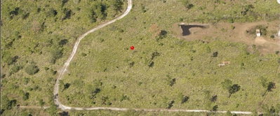 HOLOPAW GROVES Road, St Cloud, FL, 34773 — photo 2