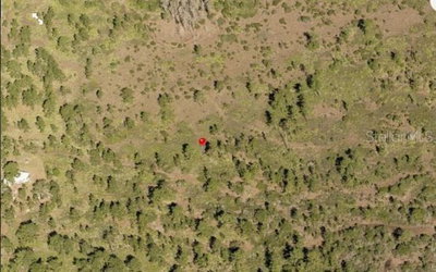 HOLOPAW GROVES Road, St Cloud, FL, 34773 — photo 2