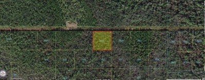 ROBIN Trail, Kissimmee, FL, 34747 — photo 2