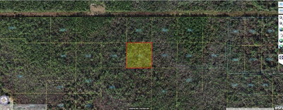 ROBIN Trail, Kissimmee, FL, 34747 — photo 2