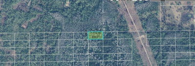 DILL Road, Orlando, FL, 32820 — photo 2