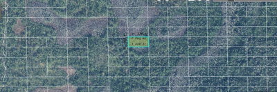 DILL Road, Orlando, FL, 32820 — photo 2