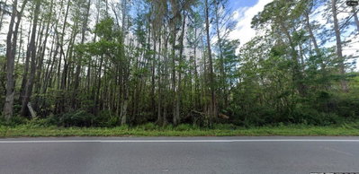 DEEN STILL Road, Polk City, FL, 33868 — photo 2