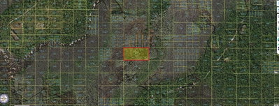 HOLOPAW GROVES Road, St Cloud, FL, 34773 — photo 2