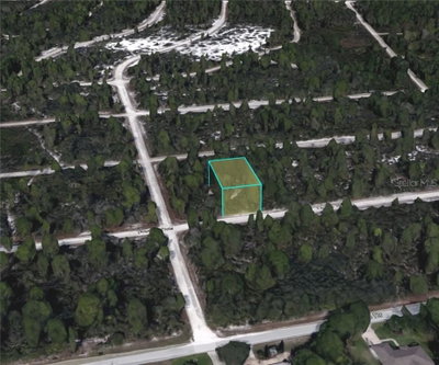 3049 CEDAR HILL Avenue, Lake Placid, FL, 33852 — photo 2