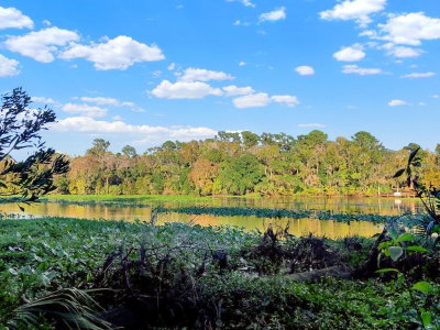 BRONSON Road, Sorrento, FL, 32776 — photo 2