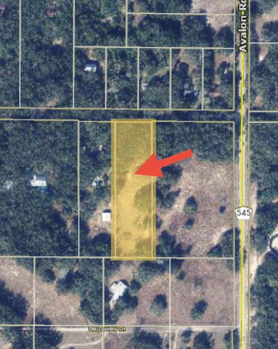 17144 PHIL C PETERS Road, Winter Garden, FL, 34787 — photo 2