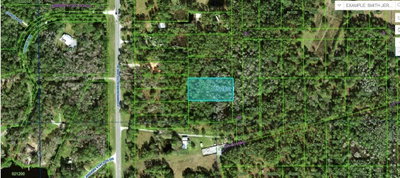 COMMONWEALTH AVE N, Polk City, FL, 33868 — photo 2