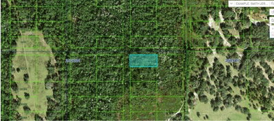 COMMONWEALTH AVE N, Polk City, FL, 33868 — photo 2