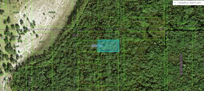 COMMONWEALTH AVE N, Polk City, FL, 33868 — photo 2
