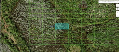 OLD GRADE RD, Polk City, FL, 33868 — photo 2