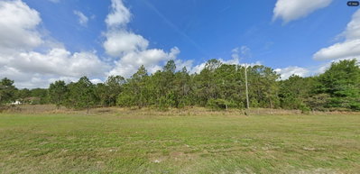 COMMONWEALTH AVE N, Polk City, FL, 33868 — photo 2
