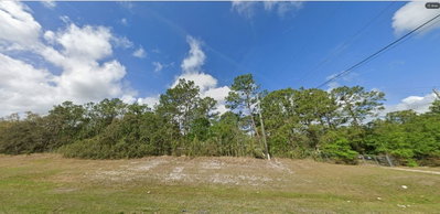 COMMONWEALTH AVE N, Polk City, FL, 33868 — photo 2