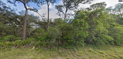 DEEN STILL Road, Polk City, FL, 33868 — photo 2