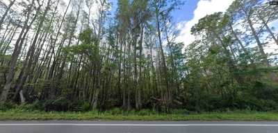 DEEN STILL Road, Polk City, FL, 33868 — photo 2