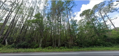 DEEN STILL Road, Polk City, FL, 33868 — photo 2