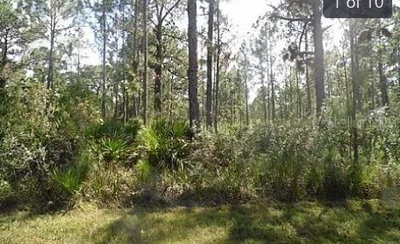HWY 60 E, Lake Wales, FL, 33898 — photo 2