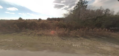 BACKLAND PATH Road, Polk City, FL, 33868 — photo 2