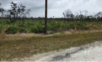GREEN Way, Indian Lake Estates, FL, 33855 — photo 2