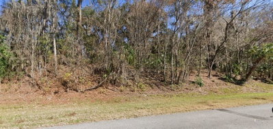 SE WACAHOOTA RD, Micanopy, FL, 32667 — photo 2