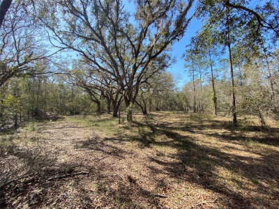 CR 772B, Webster, FL, 33597 — photo 2