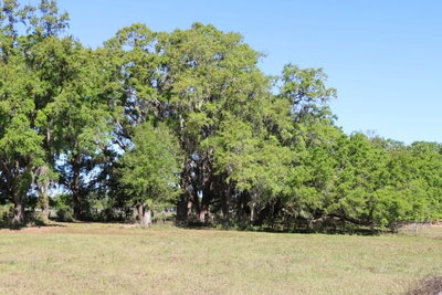 CR 48, Bushnell, FL, 33513 — photo 2