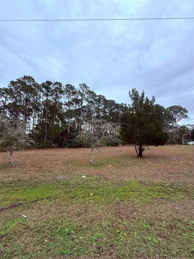 245 ULLIAN Trail, Palm Coast, FL, 32164 — photo 2