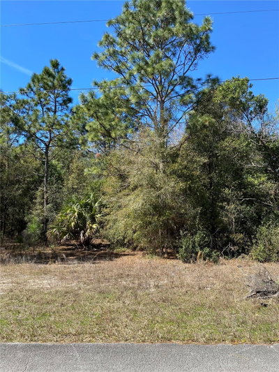 8630 CATAPANE Loop, Crystal River, FL, 34428 — photo 2
