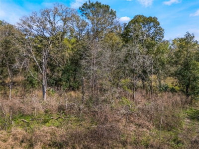 2208 EISENHOWER Street, Inverness, FL, 34453 — photo 2