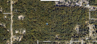 HAMILTON AVE, Orange City, FL, 32763 — photo 2