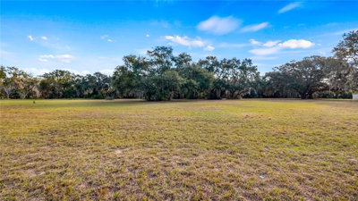 WOODLEA Road, Tavares, FL, 32778 — photo 2