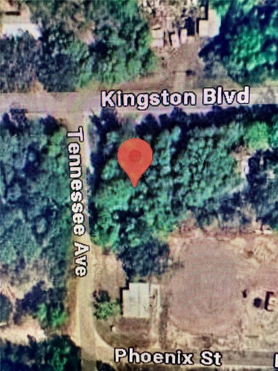 219 KINGSTON Boulevard, Satsuma, FL, 32189 — photo 2