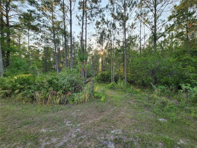 LOT 8 TAMARAC Street, Eustis, FL, 32736 — photo 2