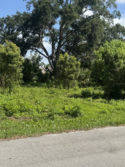 PAIGE Avenue, New Smyrna Beach, FL, 32168 — photo 2