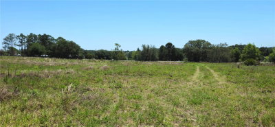 24207 TURKEY LAKE Road, Howey in the Hills, FL, 34737 — photo 2