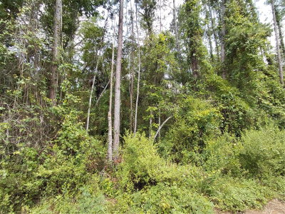 JAMES Street, Astor, FL, 32102 — photo 2