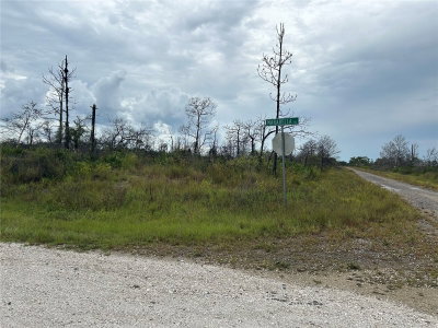 3520 MARIANA Avenue, Lake Placid, FL, 33852 — photo 2