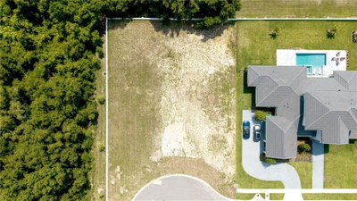 2504 WINDERMERE RESERVE Court, Windermere, FL, 34786 — photo 2