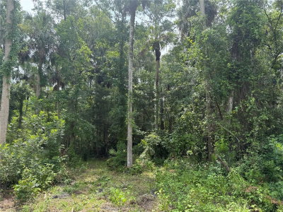 OKALOOSA Trail, Sorrento, FL, 32776 — photo 2