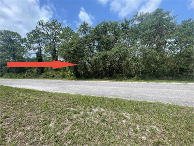 CASHEW Court, Eustis, FL, 32736 — photo 2