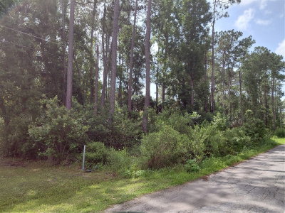 JAMES Street, Astor, FL, 32102 — photo 2