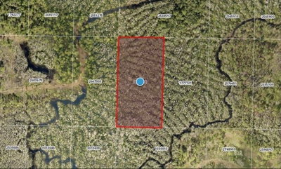 CALVIN LEE Road, Groveland, FL, 34736 — photo 2
