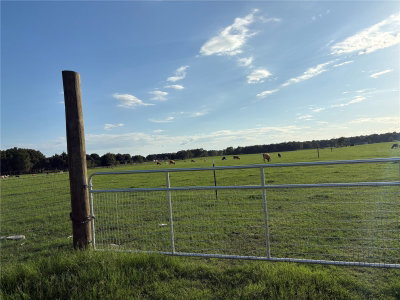13994 COUNTY ROAD 209, Oxford, FL, 34484 — photo 2