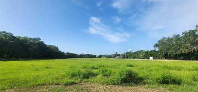 103 2ND Avenue, Pierson, FL, 32180 — photo 2
