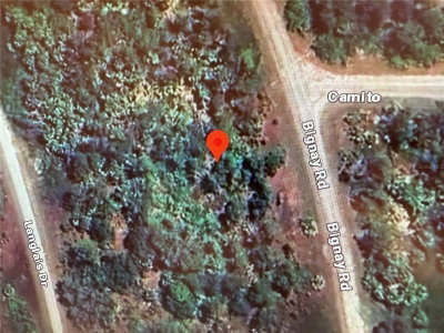 BIGNAY Road, North Port, FL, 34288 — photo 2
