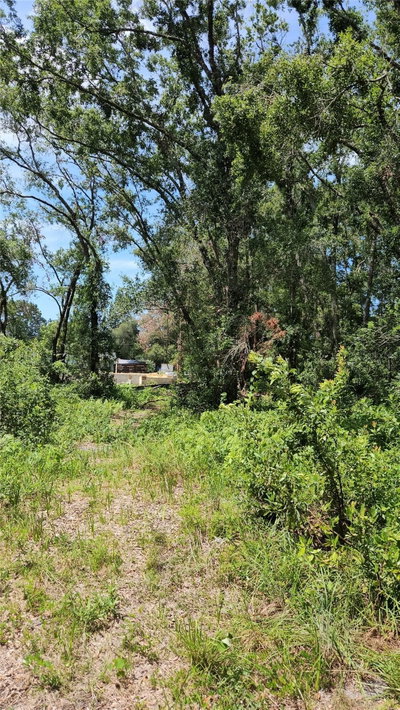 7624 ANNO Street, Tampa, FL, 33625 — photo 2