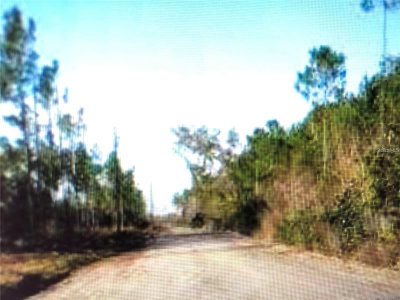 35 Acres MADISON MAIN LINE, Perry, FL, 32347 — photo 2