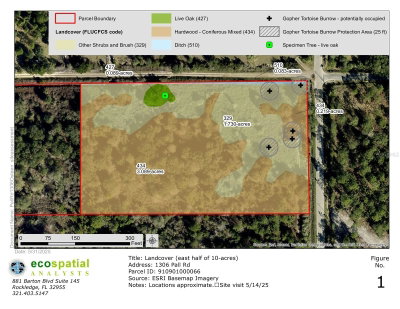 1306 PELL Road, Osteen, FL, 32764 — photo 2