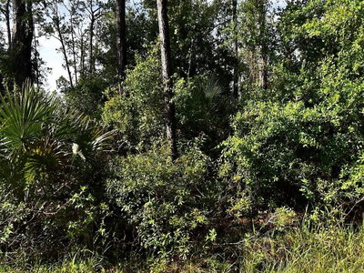 BOYD Avenue, North Port, FL, 34286 — photo 2